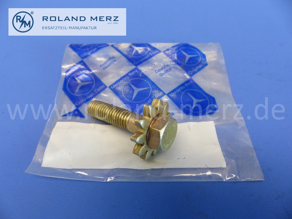1004600172 Schraube, Spannschraube Nachstellung Lenkhelfpumpe, Servopumpe, Mercedes M110, M115, M116, M117, M123 und SA 10.797, 12.275, 12.364, 12.371, Original Mercedes Neuteil, NOS 