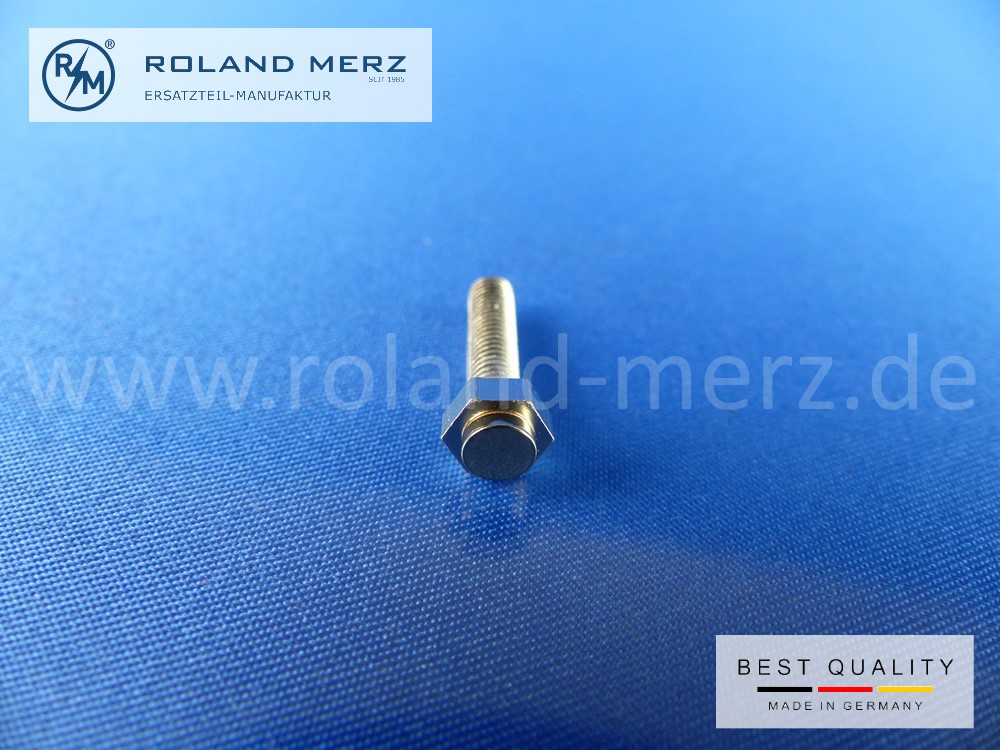 RM15920 Unterbrecherkontakt schraubbar mit Wolfram Kontaktplättchen, 3,5 x 16, SW 6 RM15920 Unterbrecherkontakt schraubbar mit Wolfram Kontaktplättchen, 3,5 x 16, SW 6